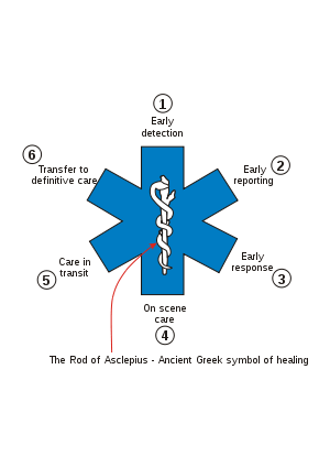 300px-Star_of_life_parts.svg Star of Life
